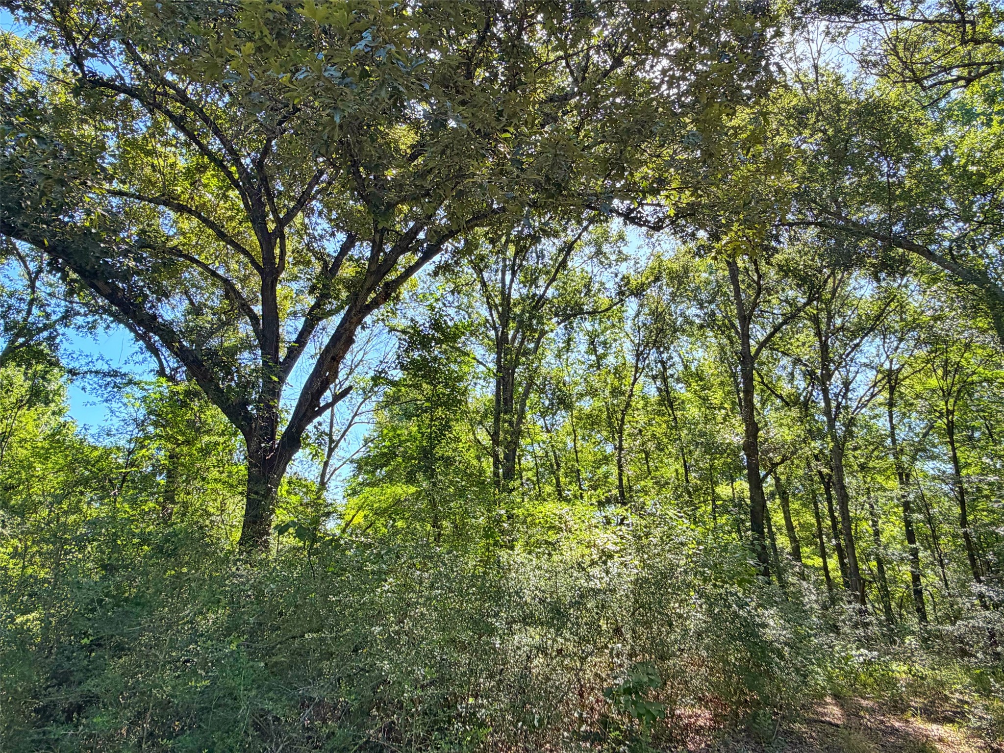 Tbd Tbd I-45 West Feeder Road Centerville, TX 75833 - Photo 10 of 15
