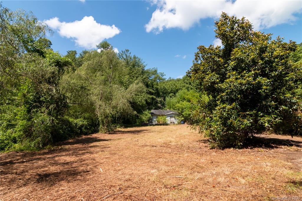 44 Lakeside Drive Asheville, NC 28806 - Photo 14 of 16 a view of a yard with a tree
