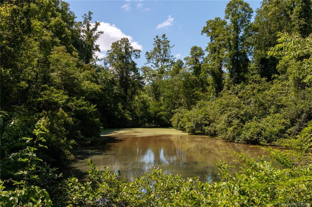 44 Lakeside Drive Asheville, NC 28806 - Photo 4 of 16 a view of a lake with a yard