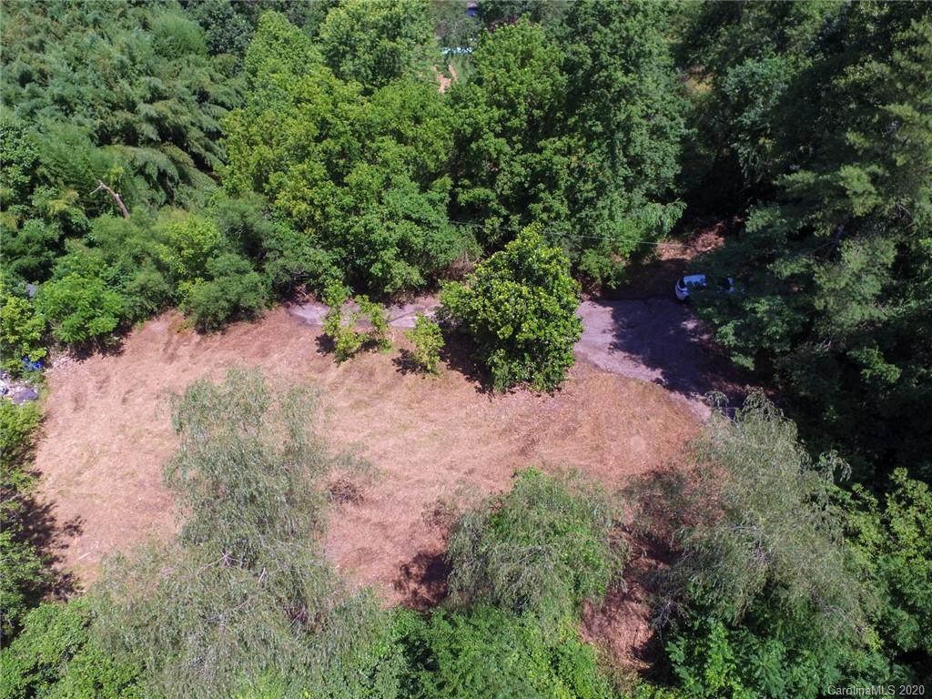 44 Lakeside Drive Asheville, NC 28806 - Photo 6 of 16 a view of a forest with a tree