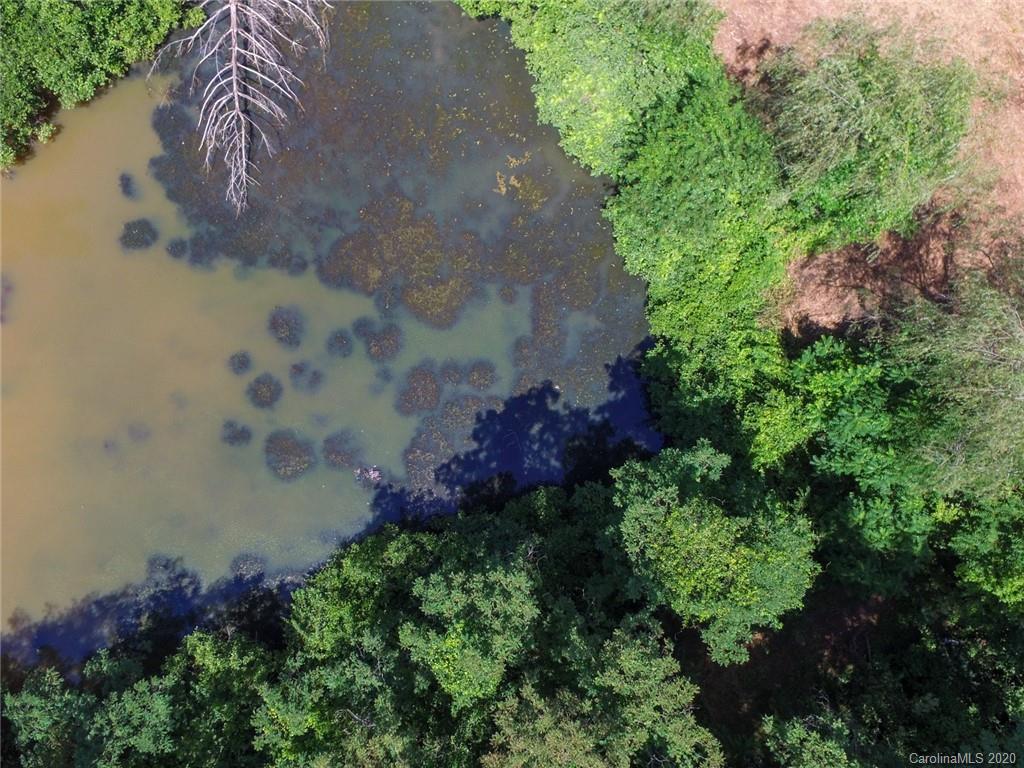 44 Lakeside Drive Asheville, NC 28806 - Photo 8 of 16