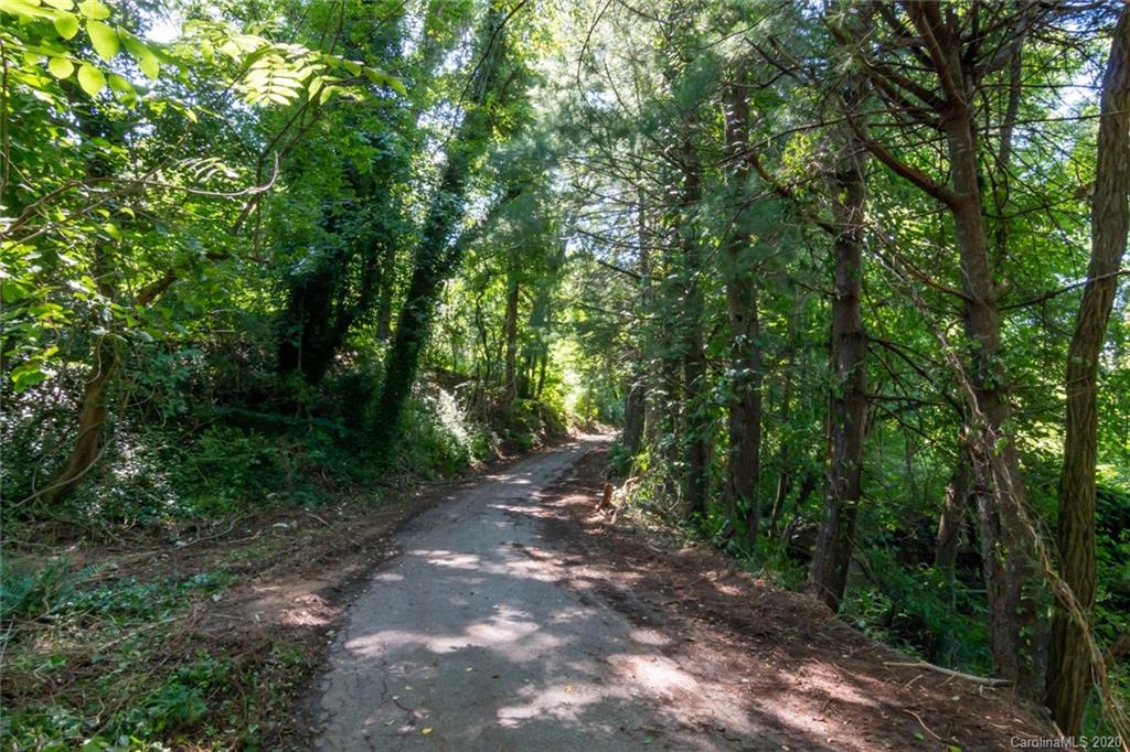 44 Lakeside Drive Asheville, NC 28806 - Photo 9 of 16 a view of a forest with trees in the background