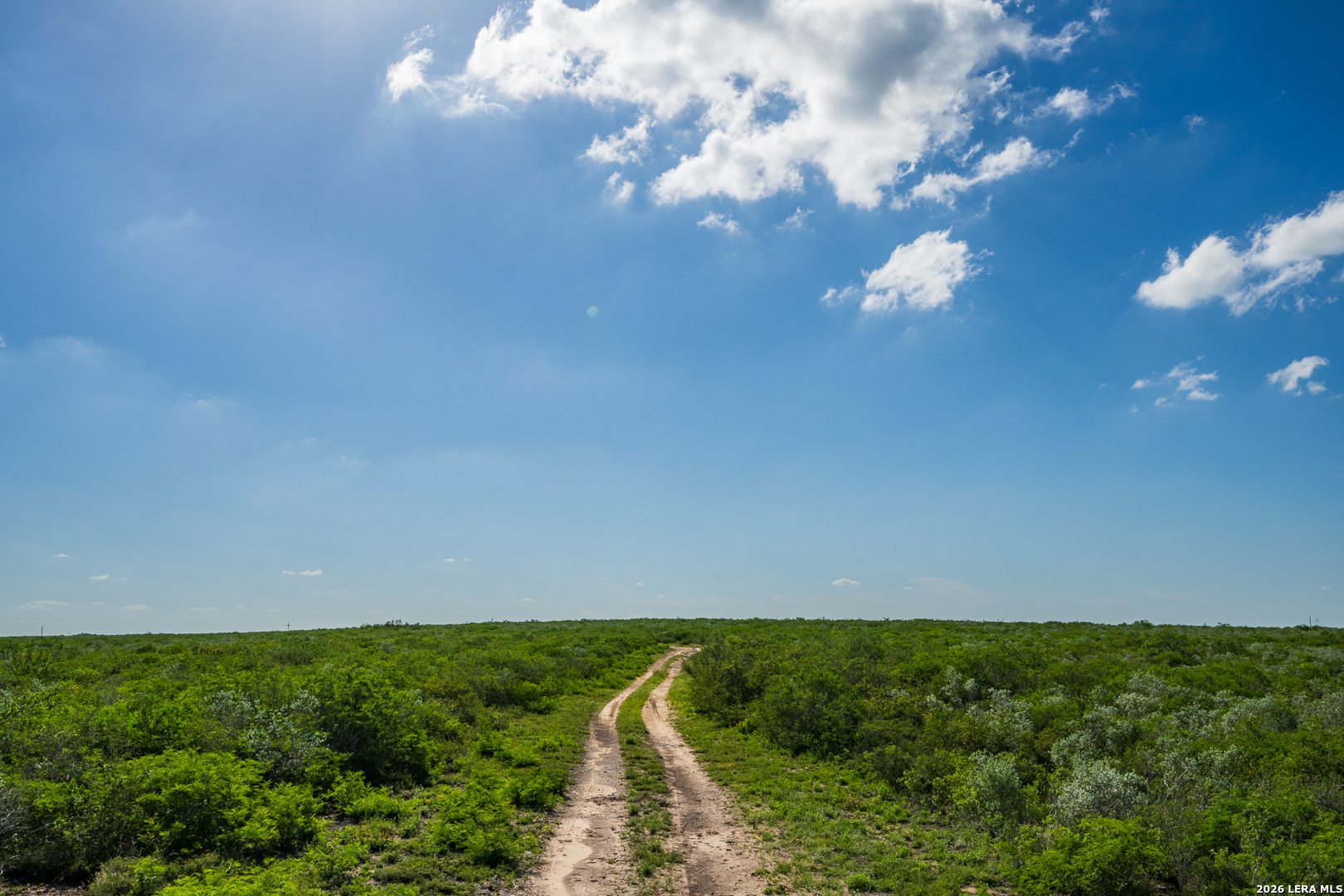 111 Los Lomas Ranch Road Freer, TX 78357 - Photo 10 of 31