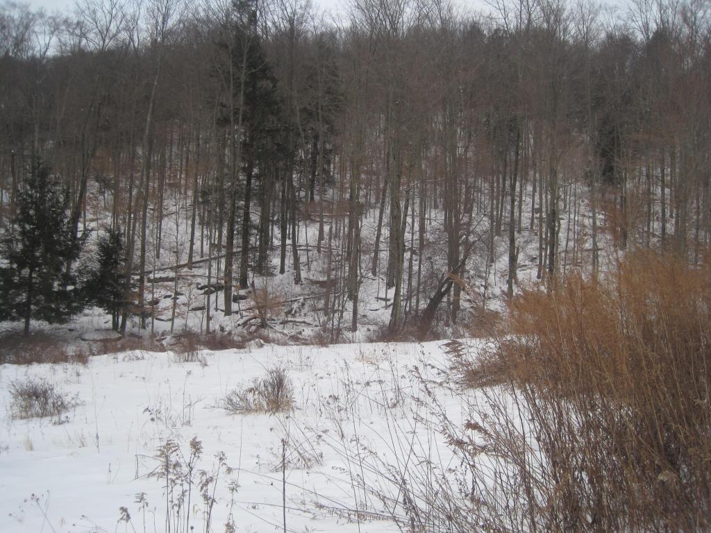 1525 Highlands Road New Milford, PA 18834 - Photo 8 of 15 Gallery Image 8