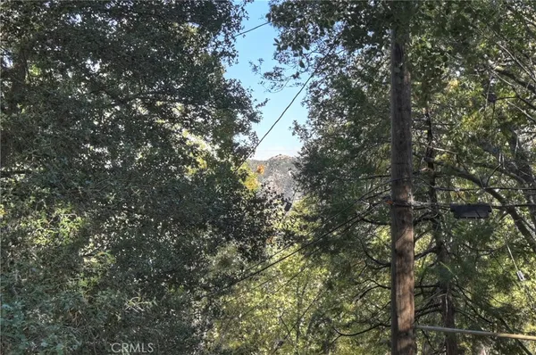 a view of a tree in a yard
