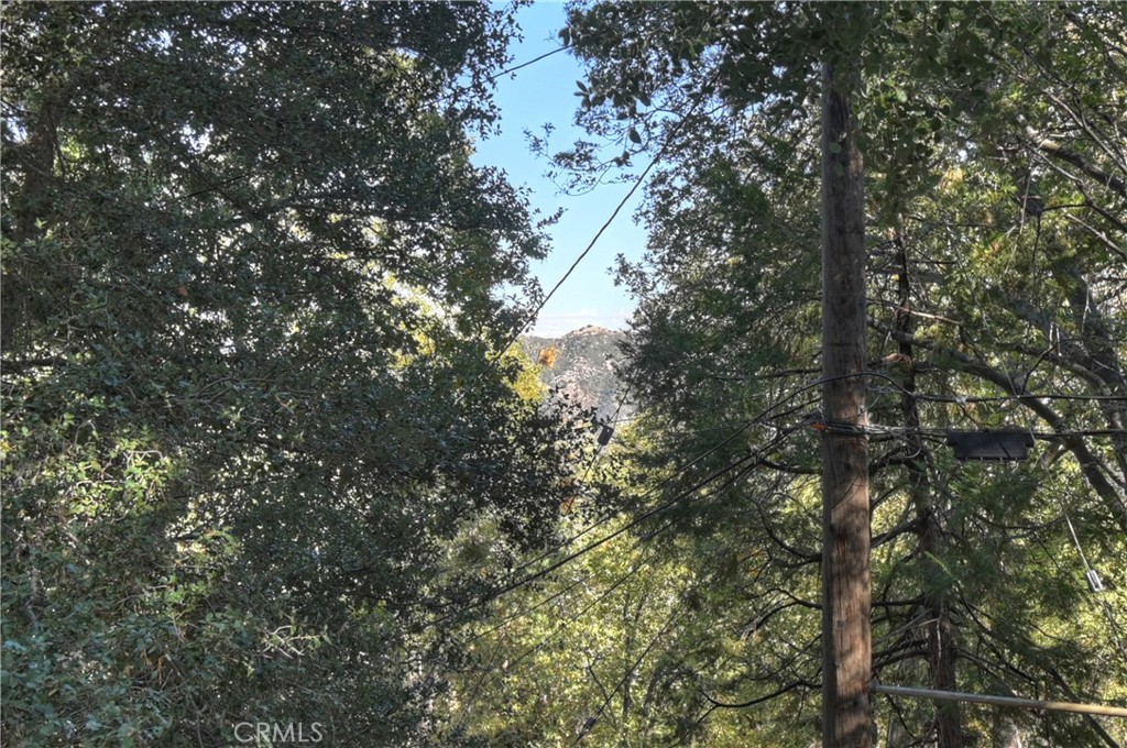 198 Pine Ridge Road Crestline, CA 92325 - Photo 27 of 45 a view of a tree in a yard