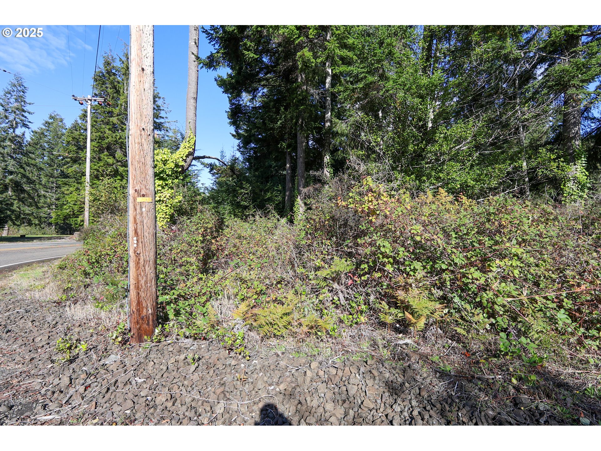 0 East Bay Road North Bend, OR 97459 - Photo 15 of 19