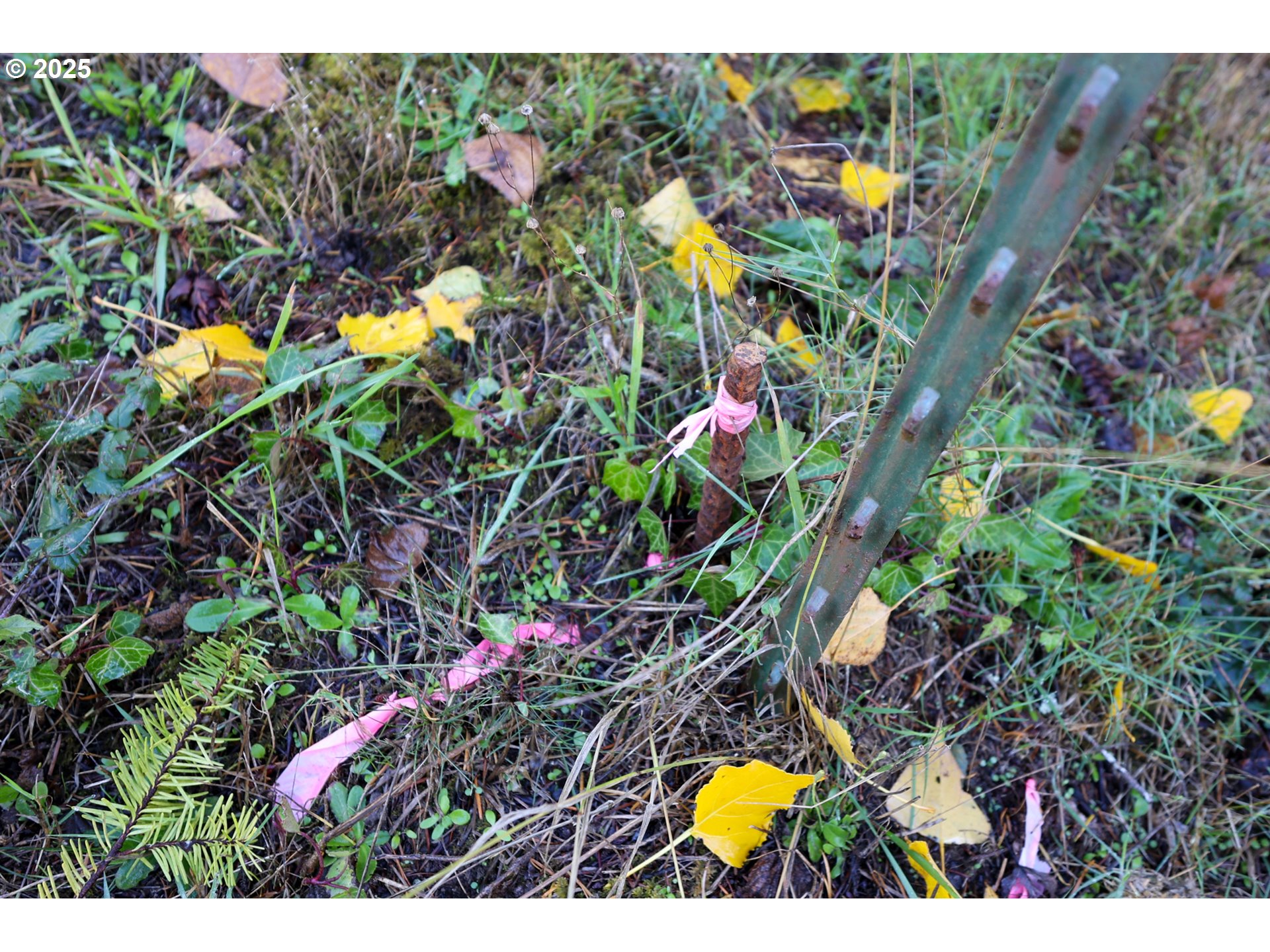 0 East Bay Road North Bend, OR 97459 - Photo 19 of 19