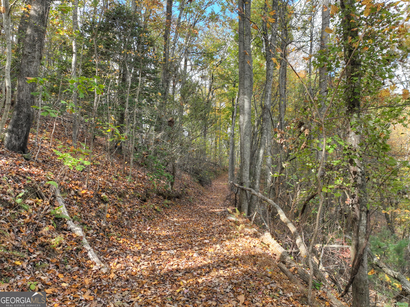 23-AC Weaver Creek Road Blue Ridge, GA 30513 - Photo 16 of 25 Gallery Image 16