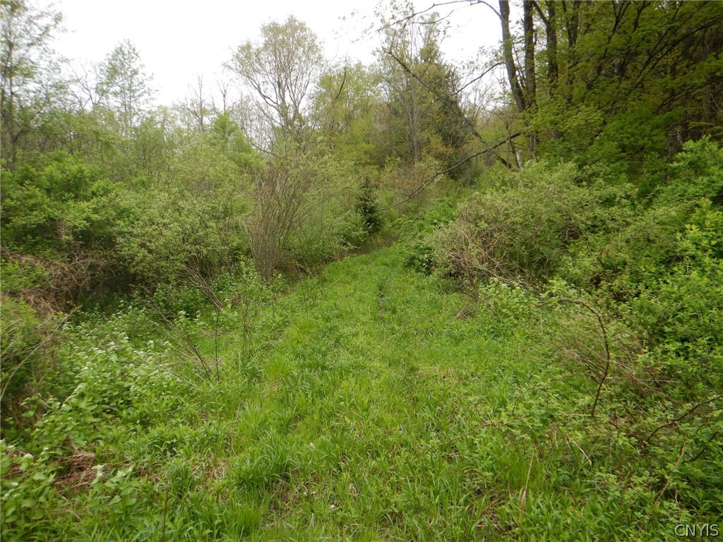 Wightman Road Wellsville, NY 14895 - Photo 15 of 45