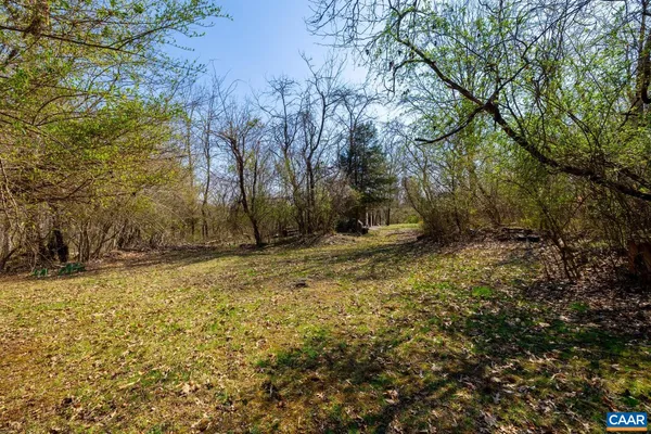 a view of back yard of the house