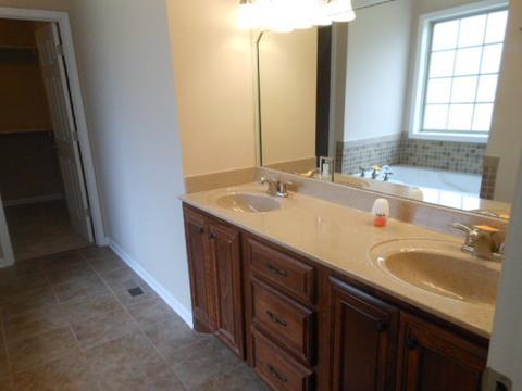 205 Lawrence Lane Springfield, TN 37172 - Photo 11 of 19 a bathroom with a double vanity sink and a mirror