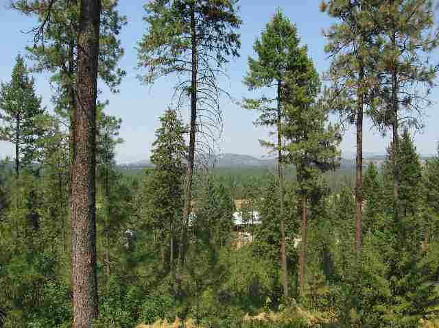 4202 Dillon Road Springdale, WA 99173 - Photo 8 of 9