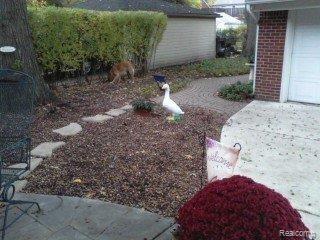 1862 Prestwick Road Grosse Pointe, MI 48236 - Photo 3 of 15 Image1.jpg