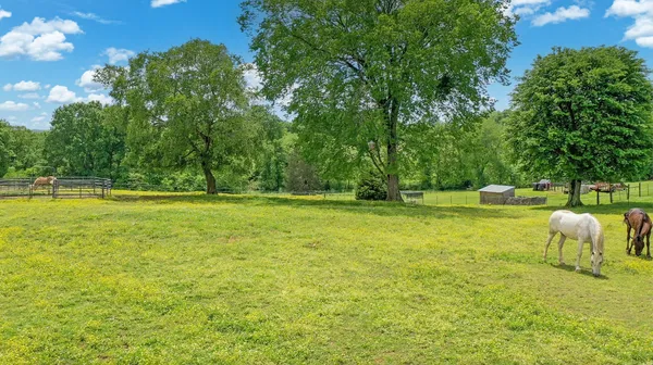 a garden view with a seating space