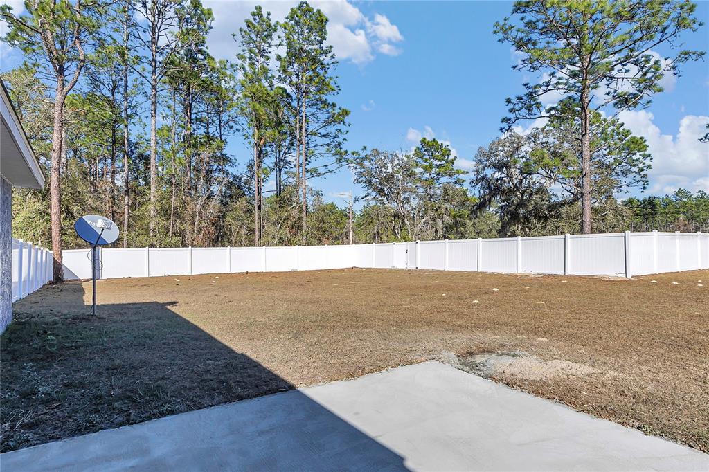 8265 Southwest 128th Terrace Dunnellon, FL 34432 - Photo 38 of 43