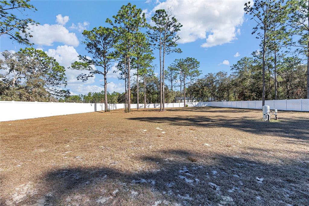 8265 Southwest 128th Terrace Dunnellon, FL 34432 - Photo 41 of 43