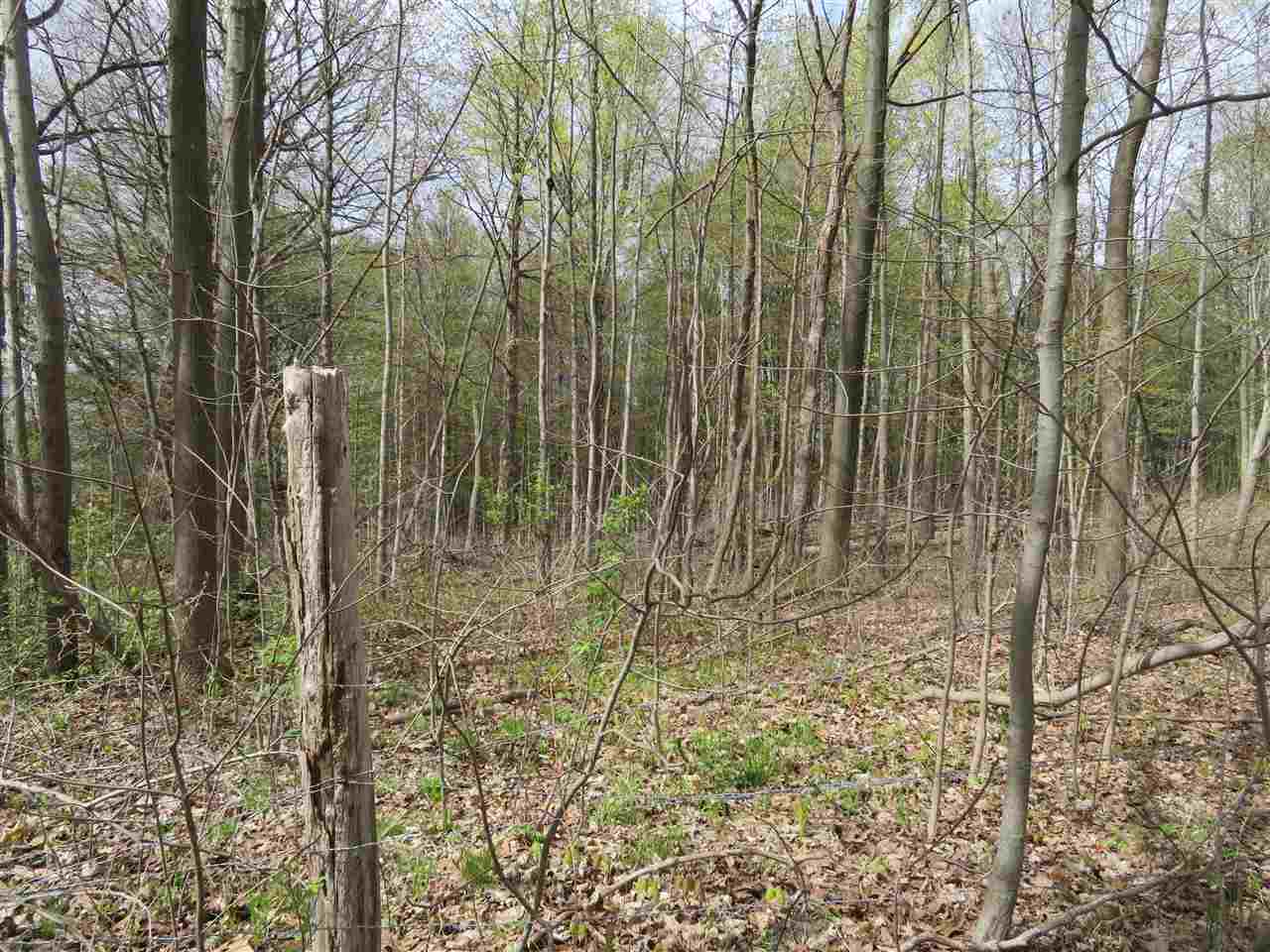 0 Wagner Road Imlay City, MI 48444 - Photo 4 of 6