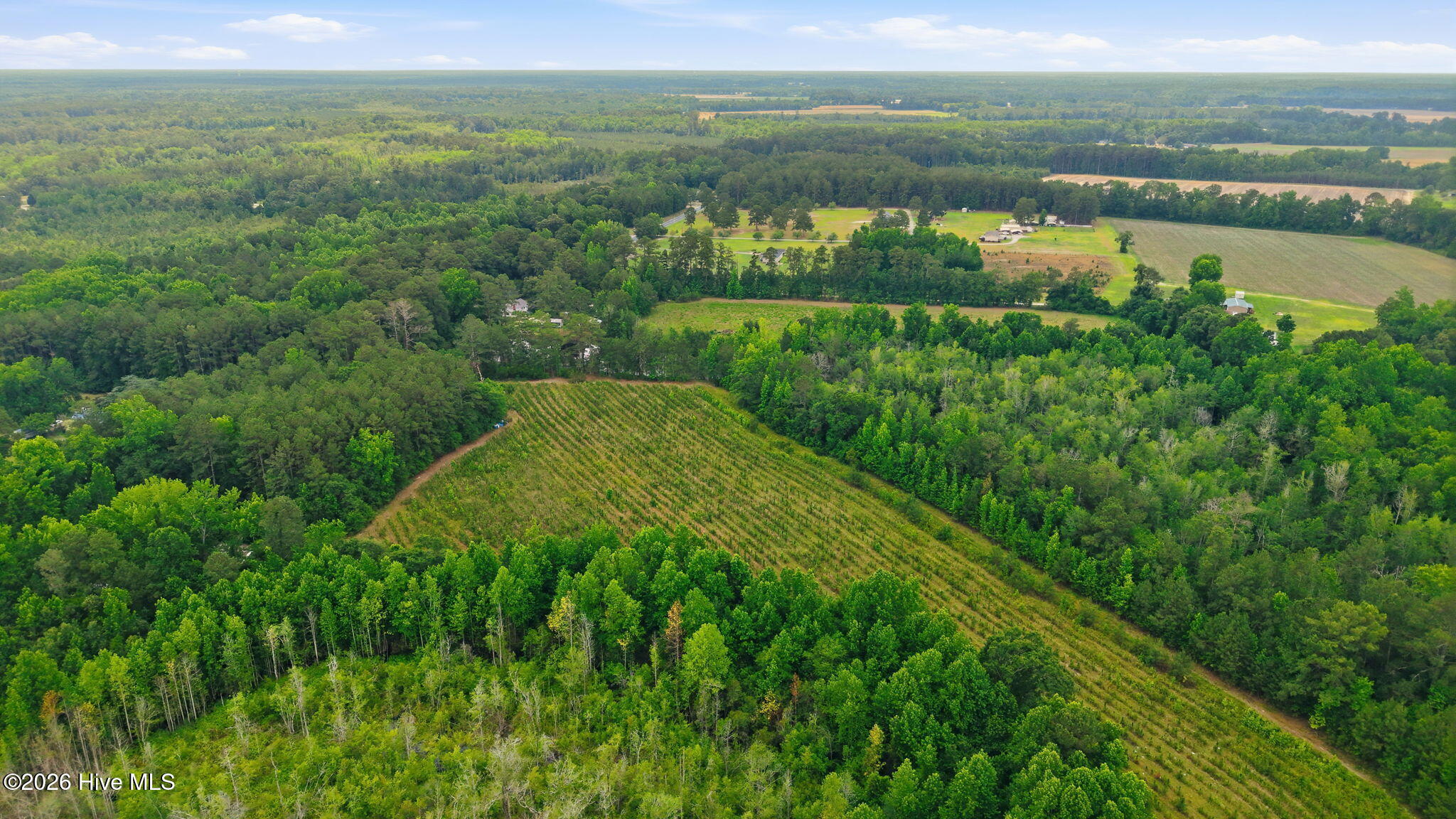 17060 St Johns Church Road Laurel Hill, NC 28351 - Photo 55 of 62