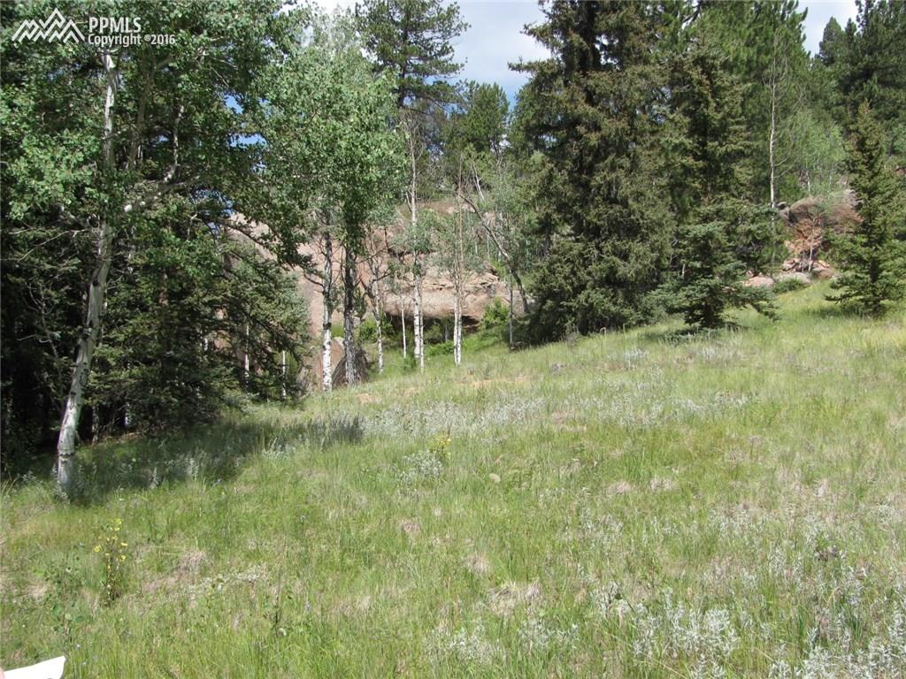Tbd Arrowhead Road Florissant, CO 80816 - Photo 1 of 17 Gallery Image 1