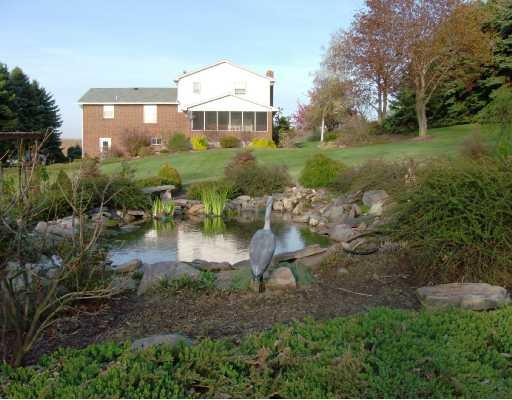Yard/Garden. Spring is here! Summer fun awaits!