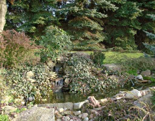 Yard/Garden. Waterfall, 2nd pond, lite at night, and this is your view from the rear screened porch!
