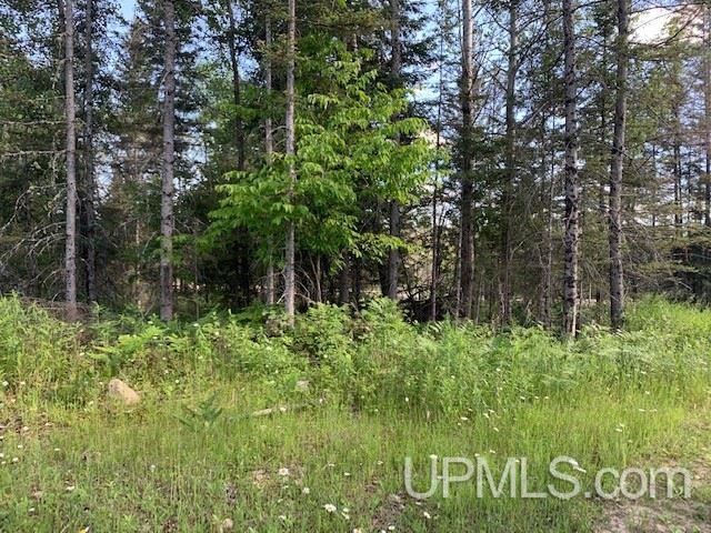 Tbd M69 Nadeau, MI 49863 - Photo 3 of 14