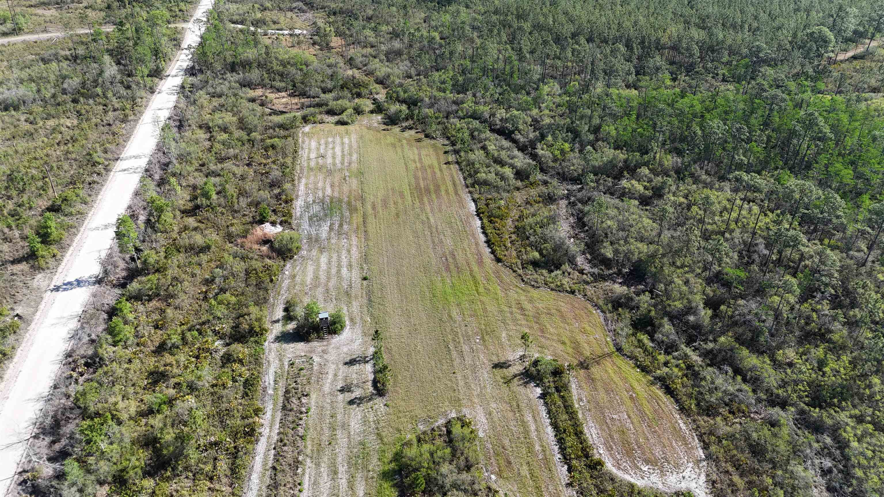 0 Madison Main Line Road Perry, FL 32347 - Photo 2 of 50