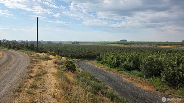 a view of a lake with a beach