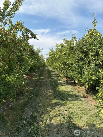 a view of an ocean beach