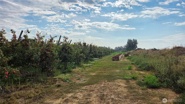 a view of a town with trees around