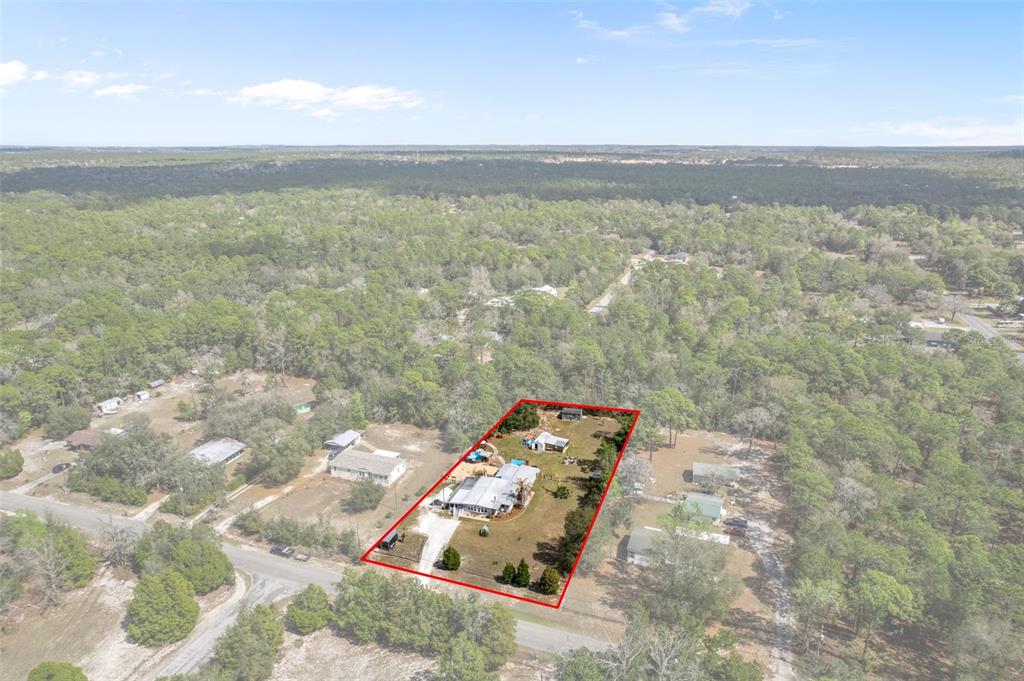 2901 South Pine Ridge Avenue Homosassa, FL 34448 - Photo 50 of 58
