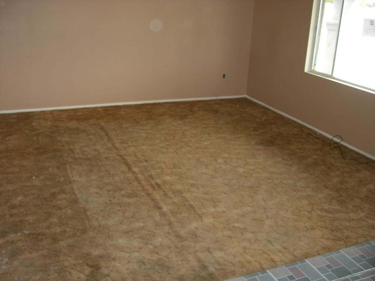 3823 West Thunderbird Road Phoenix, AZ 85053 - Photo 6 of 6 LIVING RM