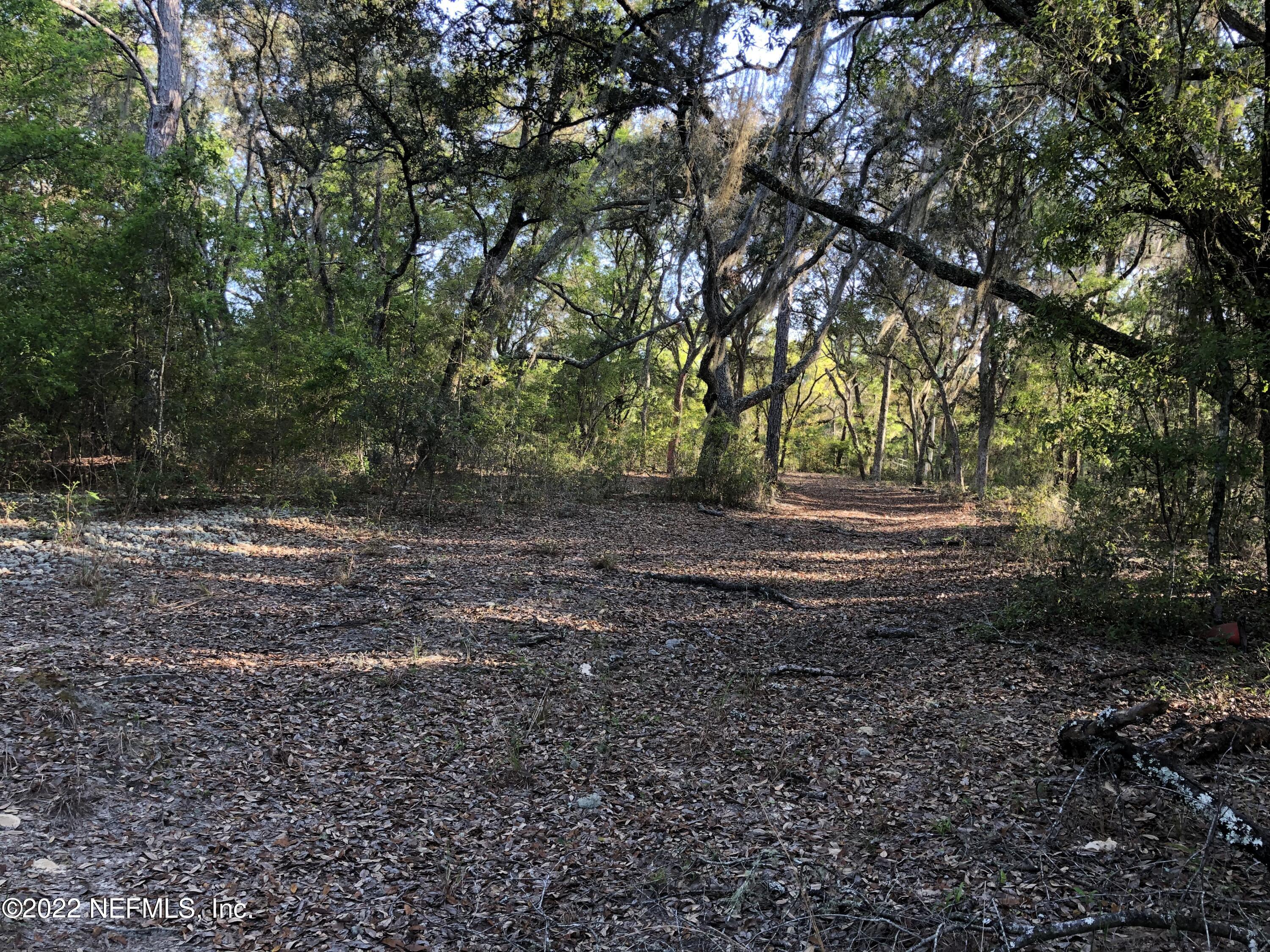 166 Windy Hills Road Interlachen, FL 32148 - Photo 5 of 6 166 Windy Hills, Partially Cleared