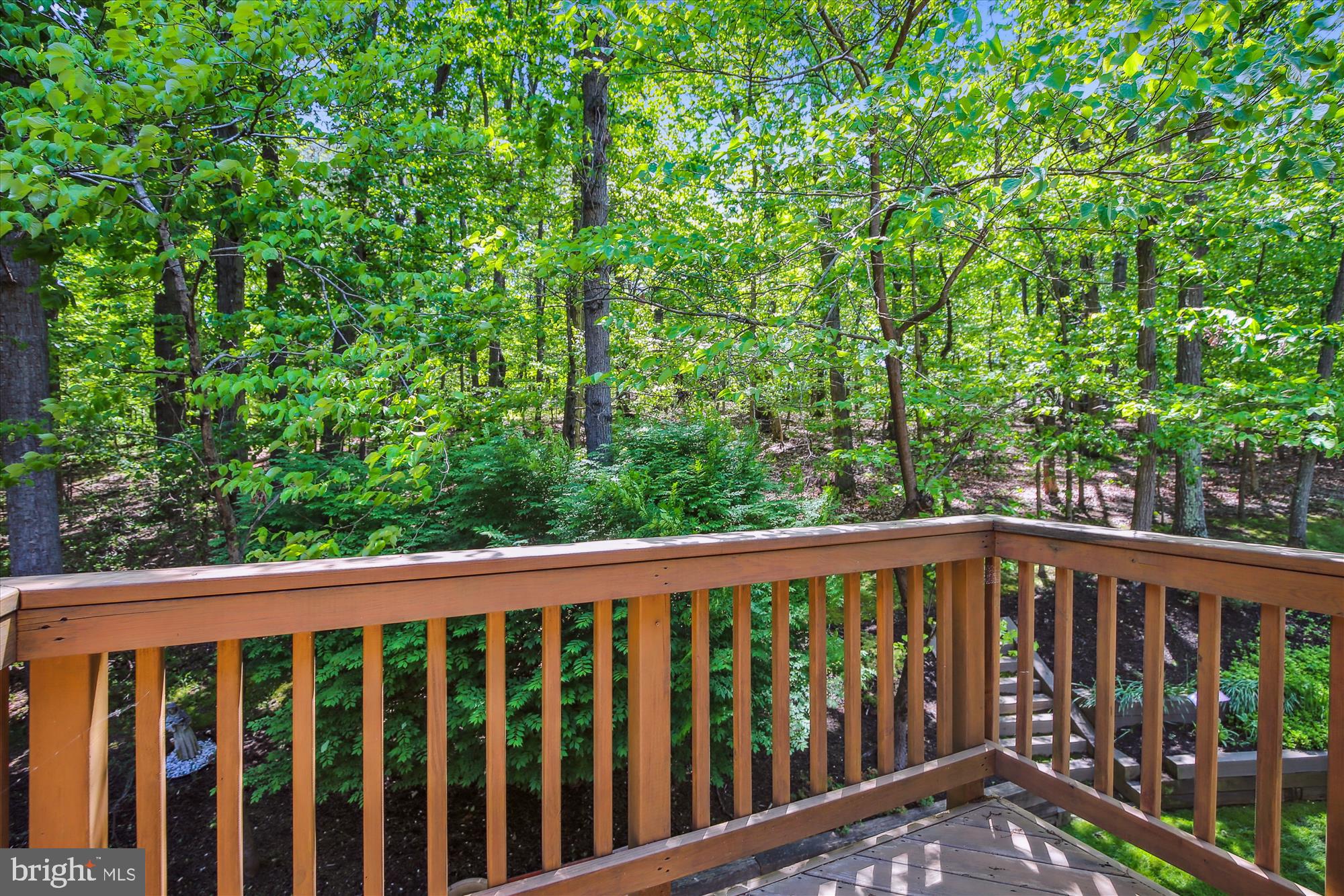 9198 Ripple Brook Road Great Falls, VA 22066 - Photo 24 of 54 Balcony