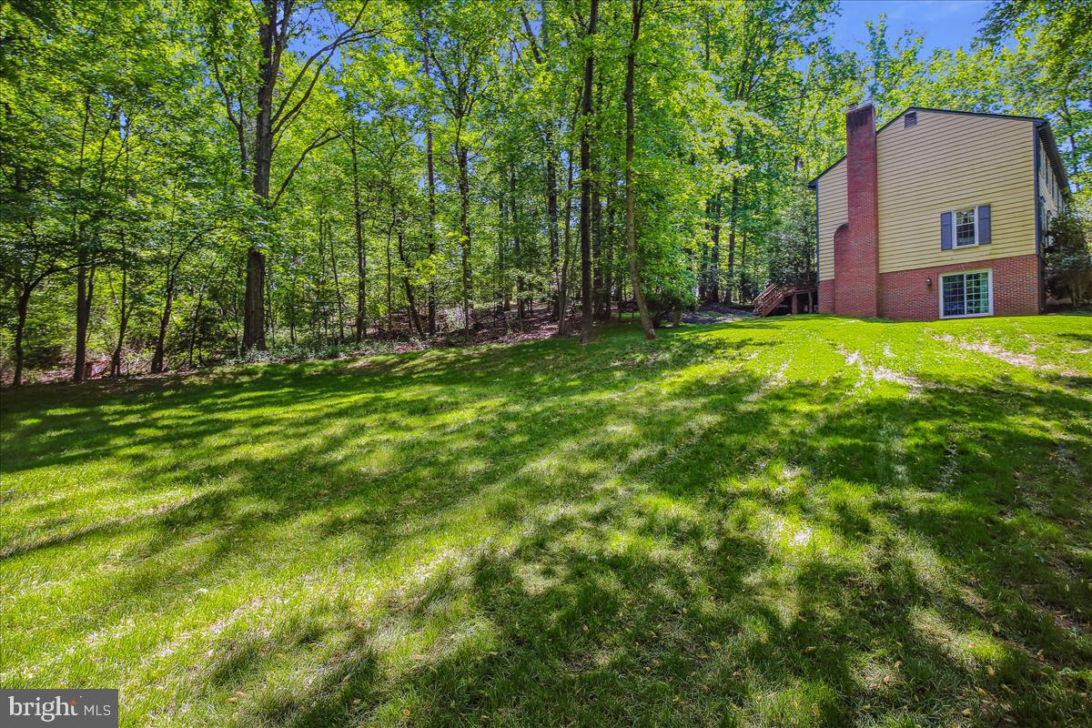9198 Ripple Brook Road Great Falls, VA 22066 - Photo 46 of 54 Outdoor Living