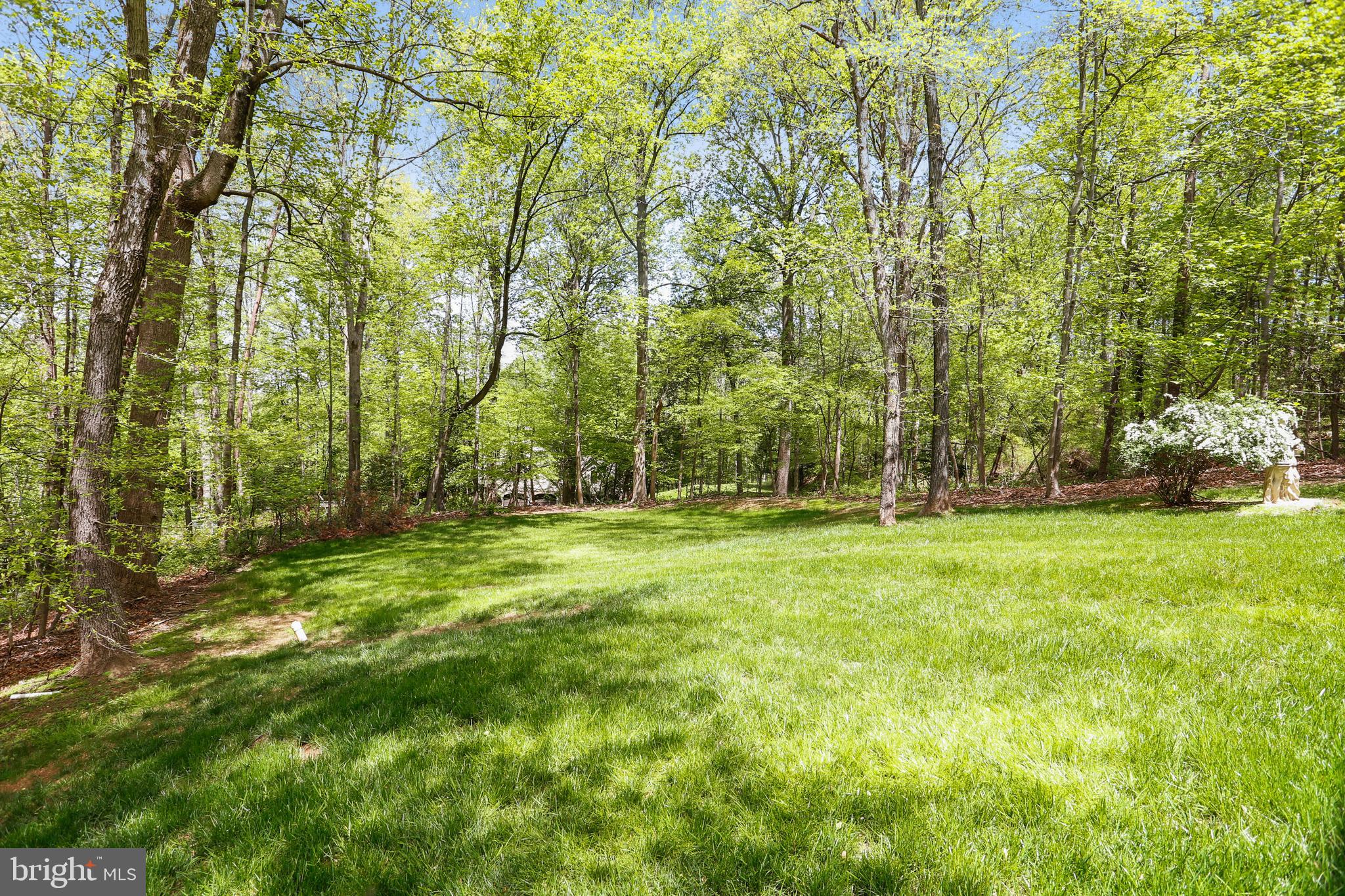 9198 Ripple Brook Road Great Falls, VA 22066 - Photo 47 of 54 Views from Back