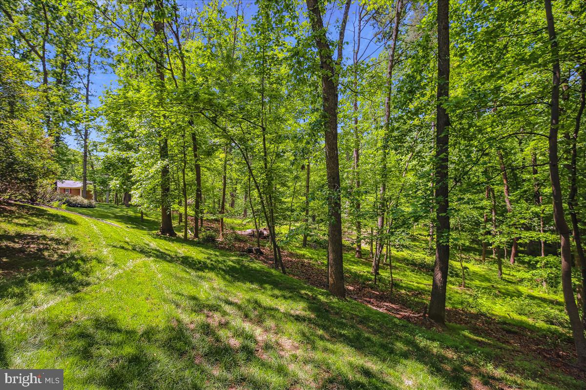 9198 Ripple Brook Road Great Falls, VA 22066 - Photo 49 of 54 Nature Lover's Dream