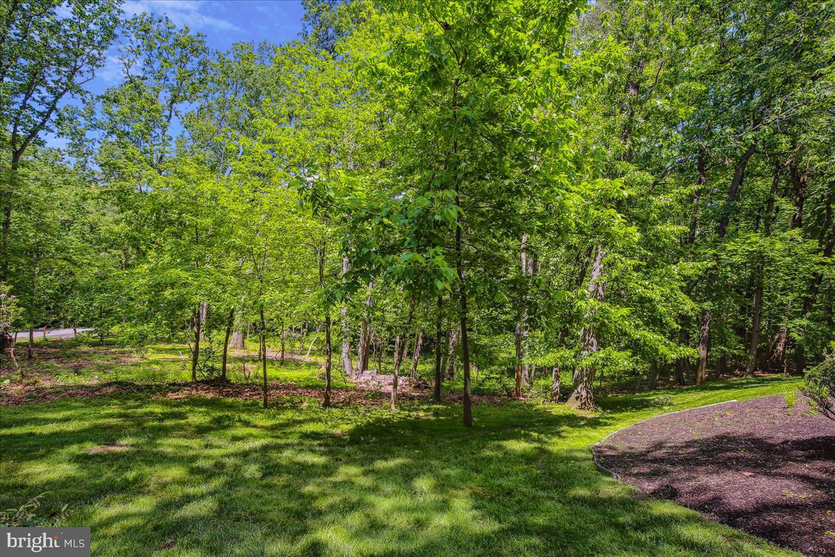 9198 Ripple Brook Road Great Falls, VA 22066 - Photo 50 of 54 Gallery Image 50