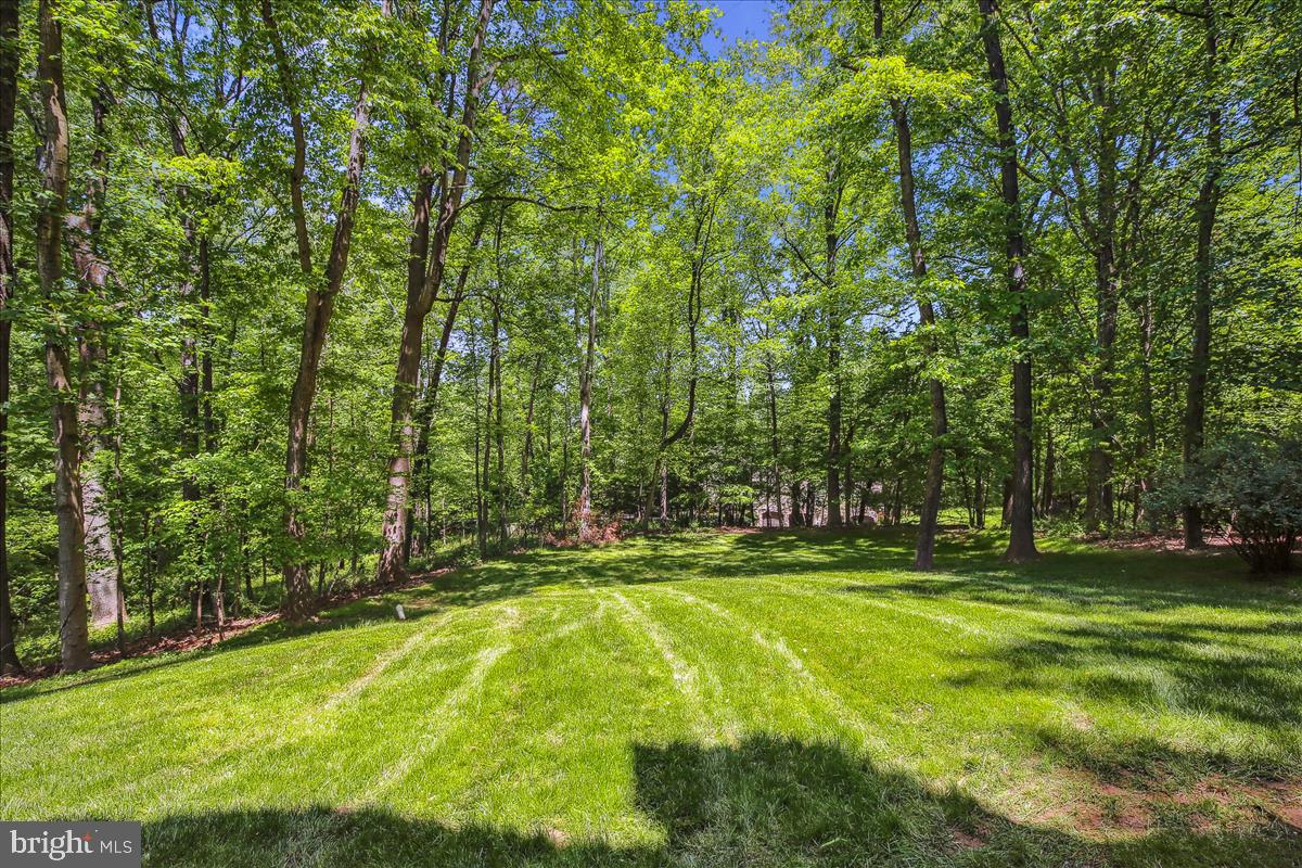 9198 Ripple Brook Road Great Falls, VA 22066 - Photo 51 of 54 Gallery Image 51