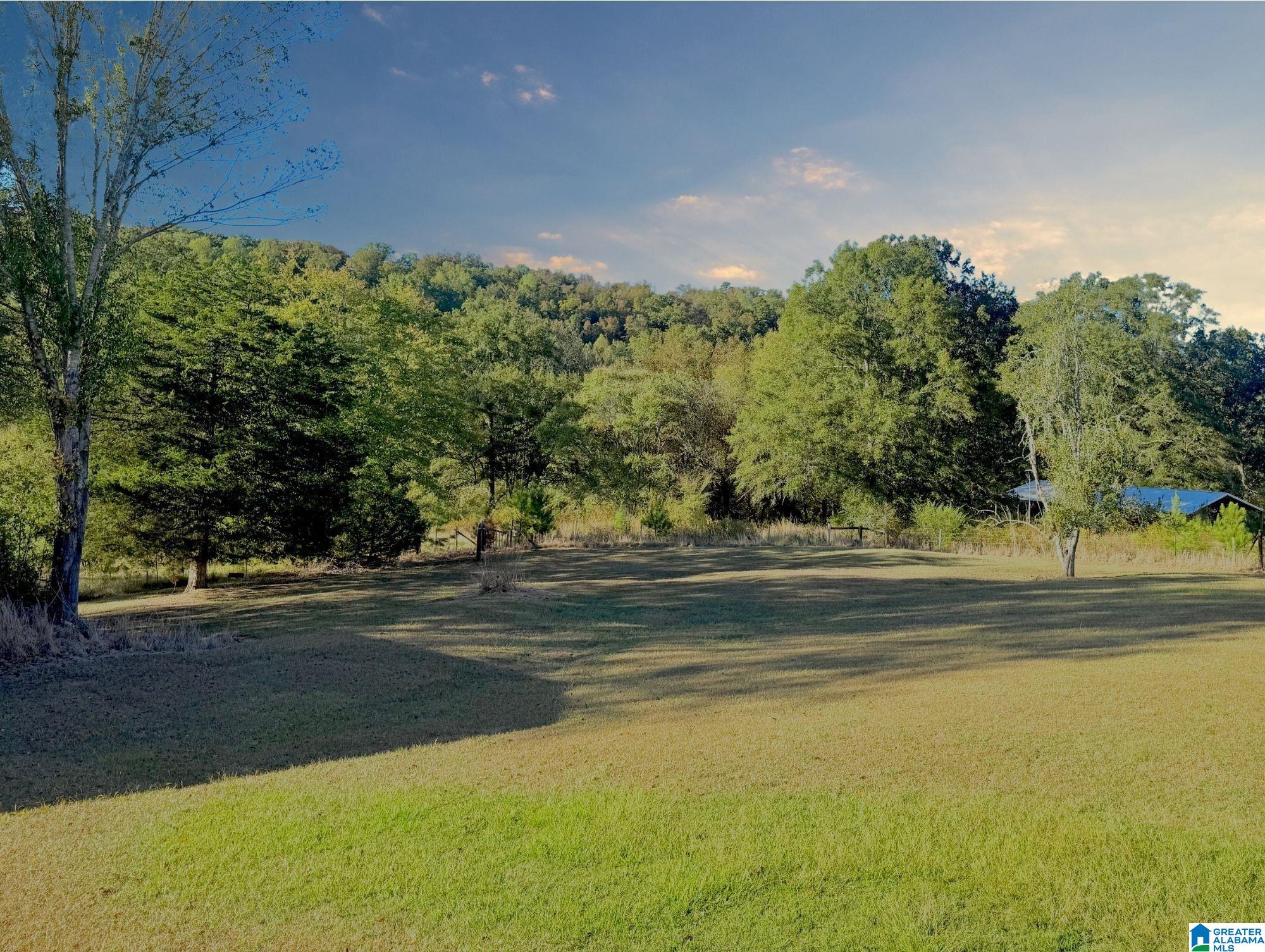 4343 Grayton Road Ohatchee, AL 36271 - Photo 65 of 72 Gallery Image 65