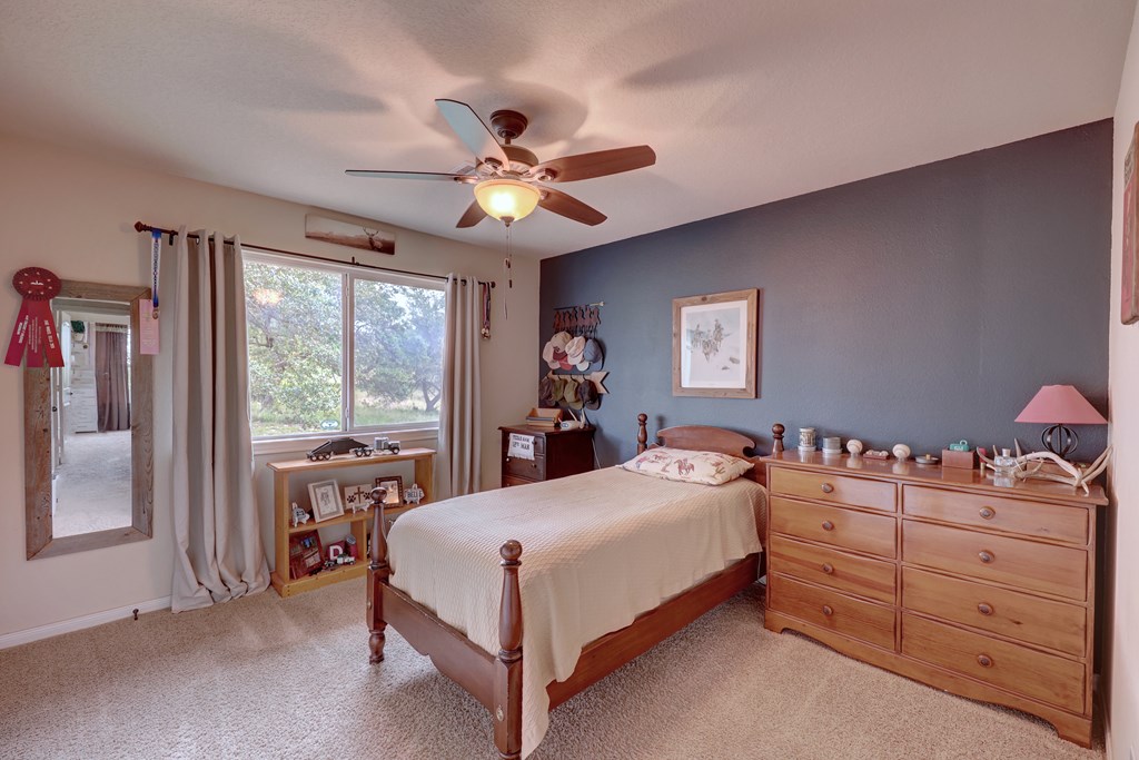 245 Big Sky Road Harper, TX 78631 - Photo 19 of 30