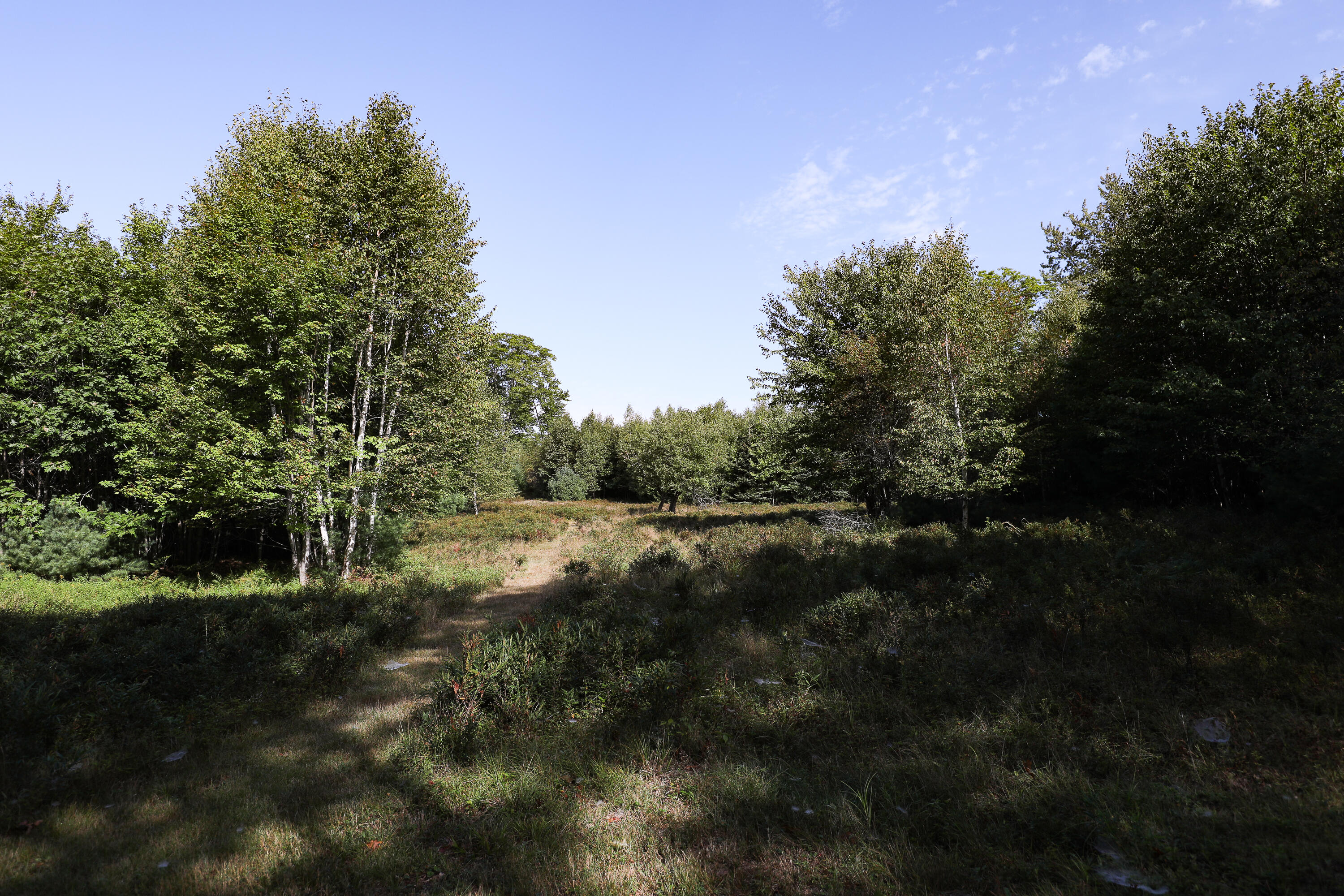 1021 Surry Road Surry, ME 04684 - Photo 2 of 4 20250902-164A9698