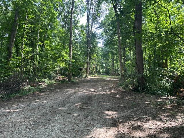 24229 Sanes Creek Road Laurel, IN 47024 - Photo 22 of 54