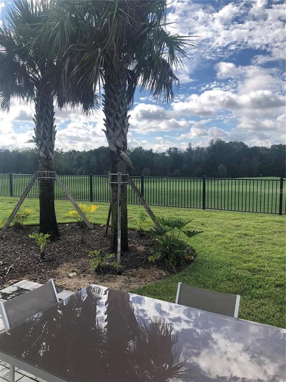 820 Driving Range Court Reunion, FL 34747 - Photo 34 of 45 a view of a park