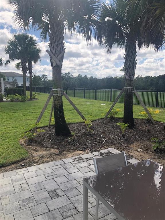 820 Driving Range Court Reunion, FL 34747 - Photo 35 of 45 a view of backyard with green space