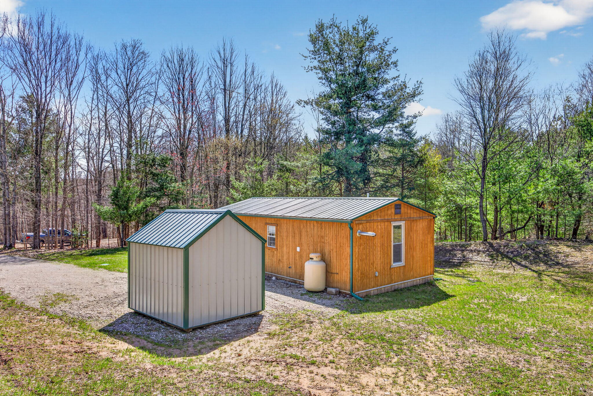 4179 North Lakola Road Leroy, MI 49655 - Photo 9 of 31 8-web-or-mls-3Y2A5665