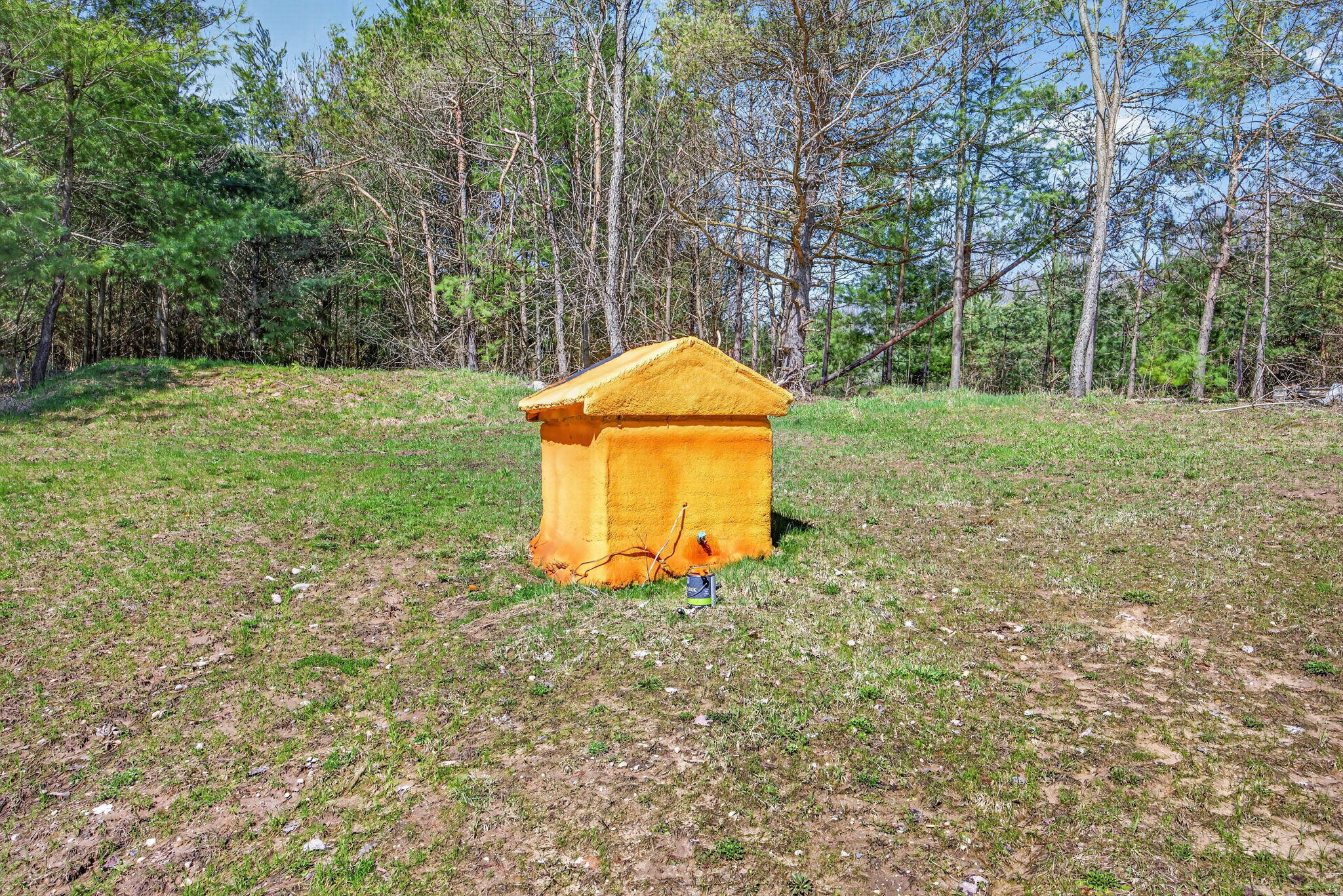 4179 North Lakola Road Leroy, MI 49655 - Photo 10 of 31 9-web-or-mls-3Y2A5670