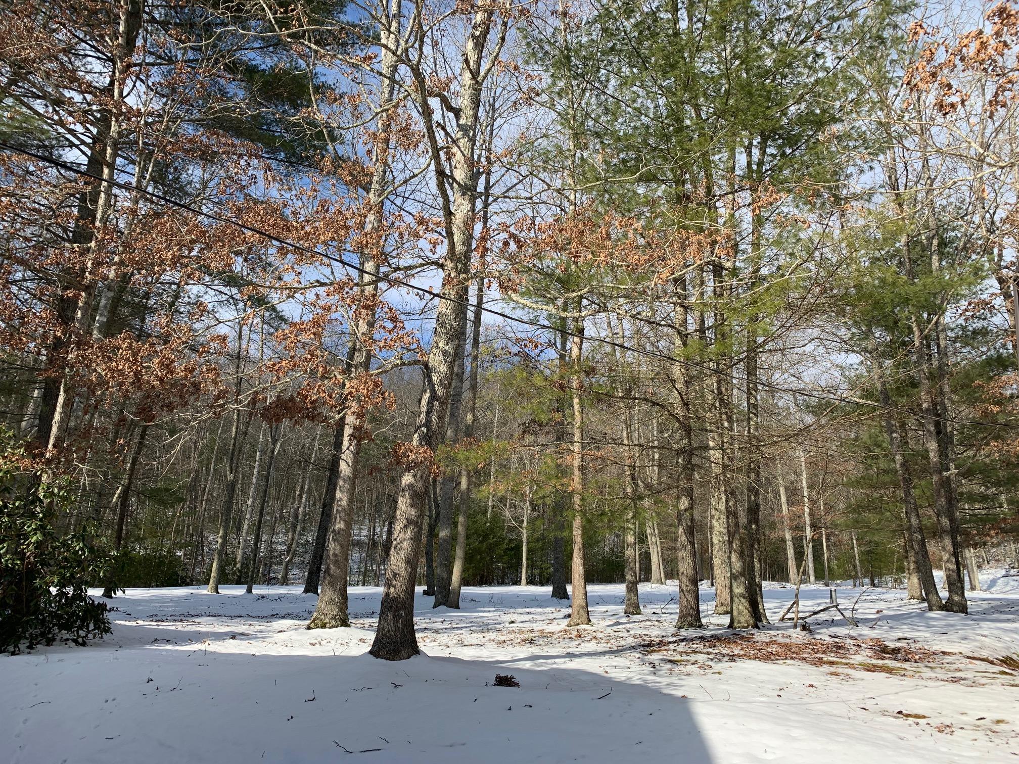 79 Deer Run Road Gap Mills, WV 24941 - Photo 67 of 70 Gallery Image 67