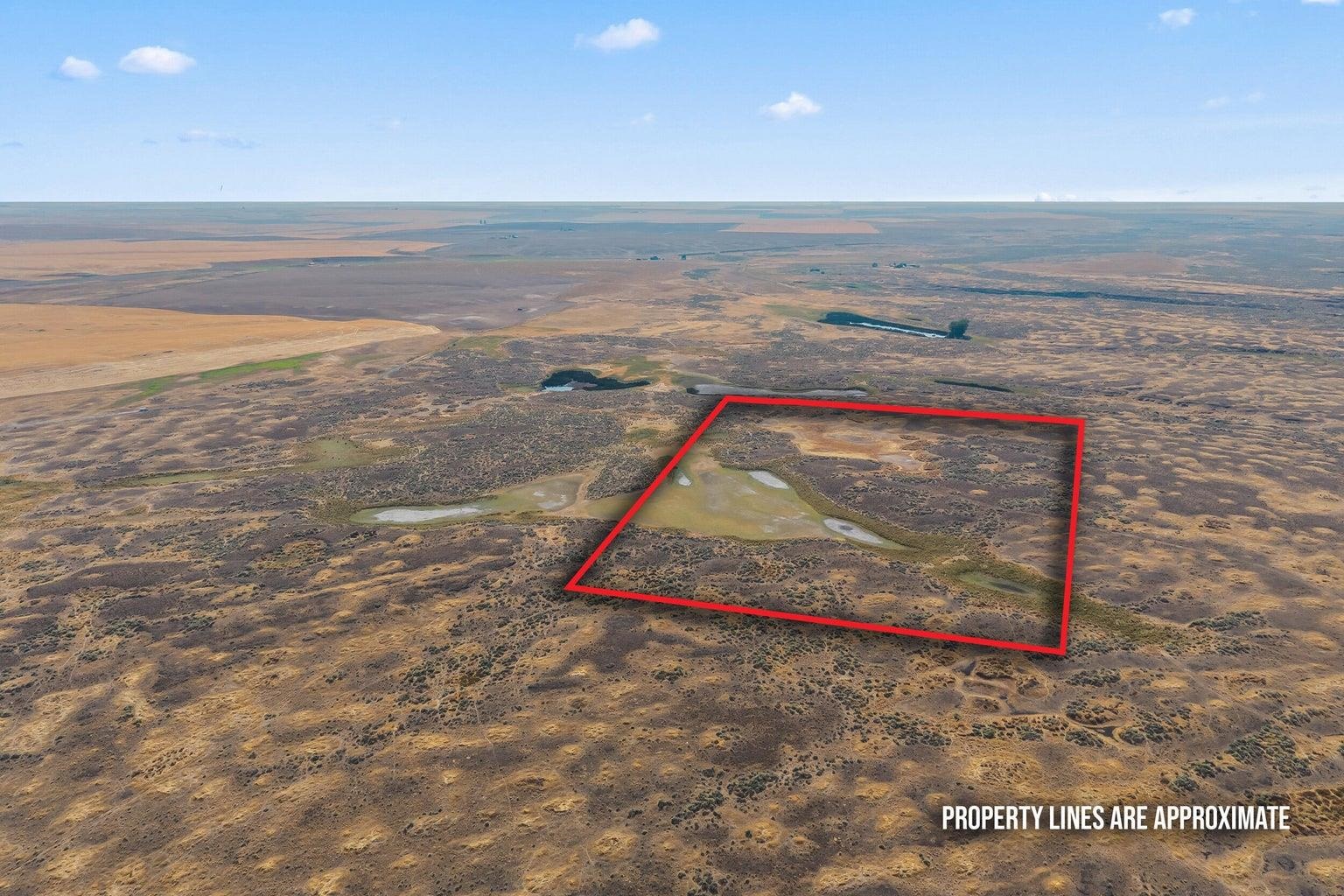 Tbd North Earl Road Davenport, WA 99122 - Photo 1 of 29